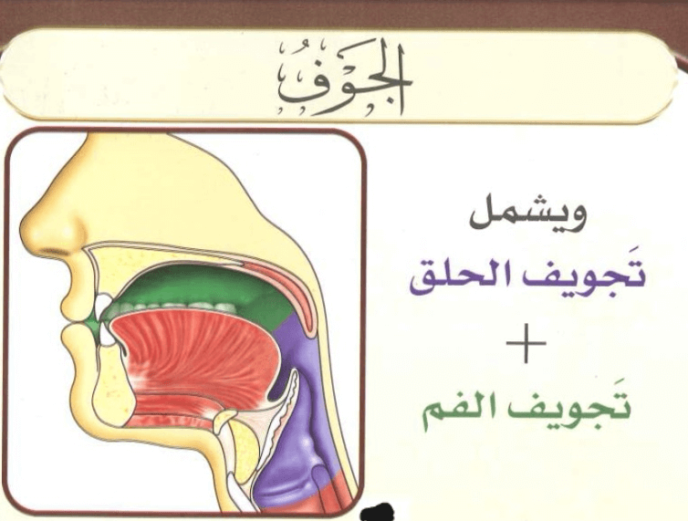 Learn Quran Reading - The first Point of Articulation (Al-Jawf) - Shaykhi Academy - Learn Arabic and Quran Online