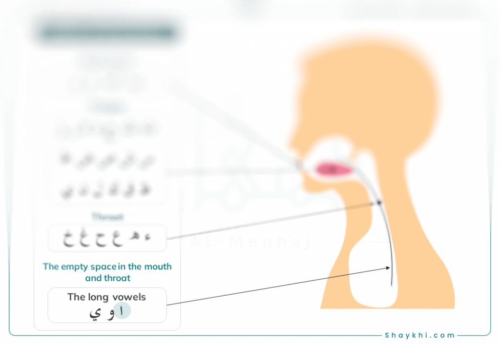 Points of articulation - Arabic Letters Alphabet - Letter Alif